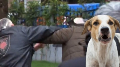 Mahalleli arasında köpek kavgası...