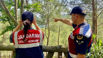 Jandarma orman yangınlarını önlemek adına harekete geçti!