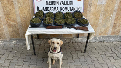 Jandarma zehir tacirlerine geçit vermedi: 6 şüpheli suçüstü yakalandı!