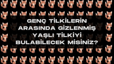 Kartal gözleri olanlar 20 saniye içinde çözebiliyor! Genç tilkilerin arasına karışan yaşlı tilkiyi bulabilecek misiniz?