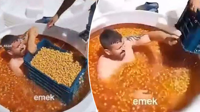 Zeytin tankındaki mide bulandıran görüntülere inceleme başlatıldı: İşletmeye mühür, sahibine ceza!