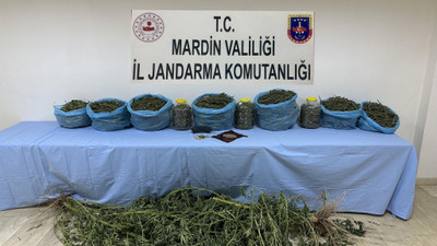 Mardin'de uyuşturucu operasyonu: 1 tutuklama