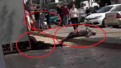Çocukların okuldaki kavgasına aileler karıştı ortalık kan gölüne döndü