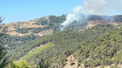 Muğla Dalaman'da korkutan orman yangını