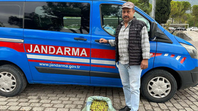Manisa’da zeytin operasyonu: Suçüstü yakalandılar