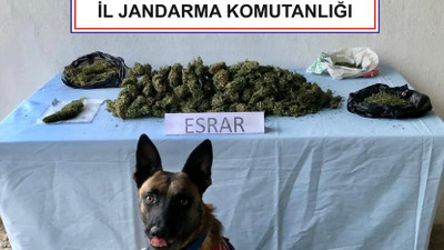 Zehir tacirleri jandarmadan kaçamadı: 3 gözaltı!