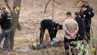 Köpek gezdirirken ağaca asılı halde ceset buldular