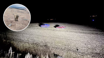 Ardahan'da 'fil' alarmı: Valilik'ten açıklama geldi