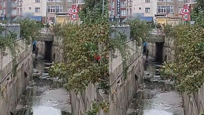 İstanbul Bağcılar'da kan donduran olay! Dere yatağında asılı halde bulundu