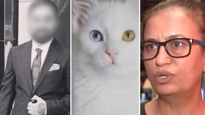 Dolandırıcılar hayvansever kadını, kedi fotoğrafı ile kandırıp 28 yıllık birikiminden etti