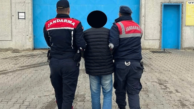 Aydın'da jandarma ekiplerinden eş zamanlı operasyon