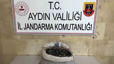 Jandarma ekiplerinde zeytin hırsızlarına suçüstü!
