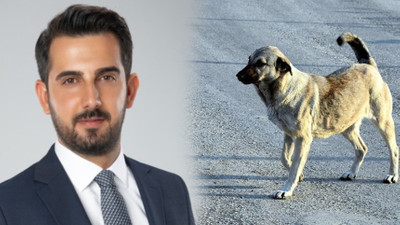 Fevzi Çakır sokak köpekleri sorununu değerlendirdi: Hangi Avrupa Birliği başkentinde böyle tablolar var?