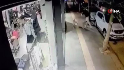 Ankara'da bir köpek saldırısı daha! Bu defa ucuz atlatıldı