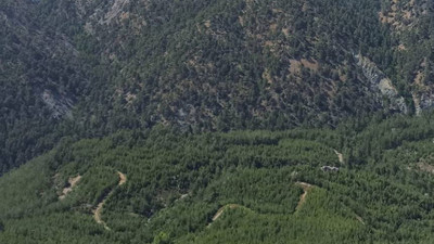 Milas ormanlarına kasım ayında düşen yağış miktarı açıklandı: Bodrumlular umutlu