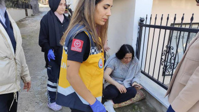Çitlerden atlayan pitbull İranlı kadına saldırdı