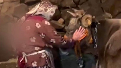 Umreye gidebilmek için ineğini satmıştı: Hayalini Eyyup Yıldız gerçekleştirdi