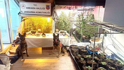 Ankara'da zehir tacirlerine büyük darbe: Çok sayıda uyuşturucu madde ve silah ele geçirildi