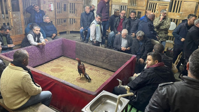 Adana'da horoz dövüştüren 32 kişiye 205 bin 600 lira ceza