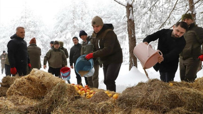 Düzce'de yaban hayvanları için doğaya yem bırakıldı