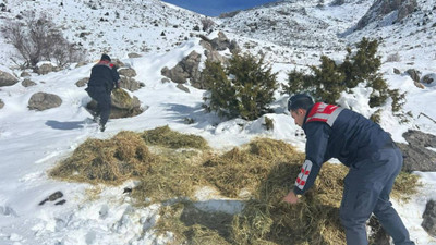 Kahramanmaraş'ta jandarma yaban hayvanları için doğaya yem bıraktı