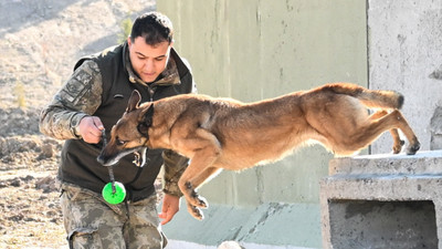 TSK'nın arama kurtarma köpekleri doğal afetlerde hayat kurtarıyor
