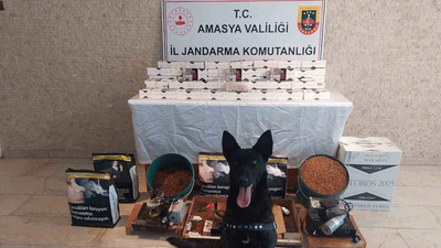 Jandarma 20 bin dal kaçak makaron ele geçirdi