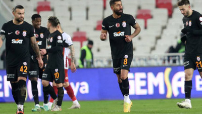 Aslan, Sivas'ta yara aldı
