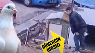 Cenazeye geldiler, güvercinleri çalıp kaçtılar! Ne acıları 'dur' dedi, ne 'vicdanları'