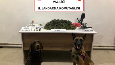 Cezaevine giren akrabalarının yarım bıraktığı işi tamamlamak istedi: Jandarma onu da yakaladı