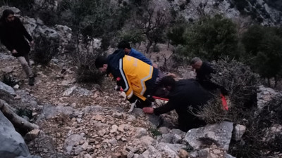 Adana'da dal kesmek için çıktığı ağaçta kalp krizi geçiren kişi öldü
