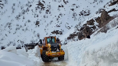 Hakkari'de çığ nedeniyle kapanan yol açıldı