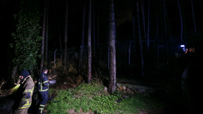 Uludağ eteklerinde çıkan orman yangını büyümeden söndürüldü