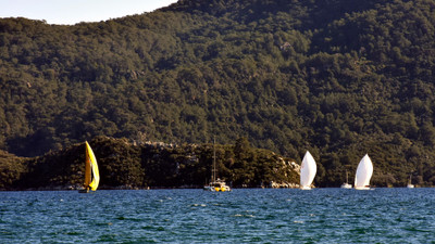 Yat yarışları: MIYC Trio Cup