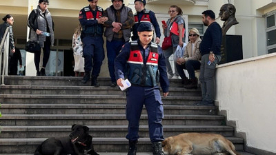 6 köpek ve 3 kedinin ölümüyle suçlanan kişi tutuklandı