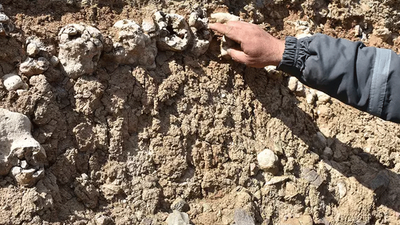 Bulduğunu dinozor fosili sandı! Aslında gerçek başka çıktı