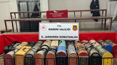 Horoz dövüşü pahalıya patladı! Jandarmadan şok baskın