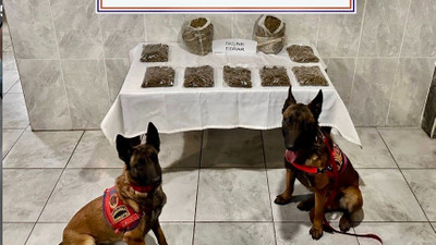 Jandarma ihbarı alır almaz harekete geçti: Narkotik köpekleri yerini belirledi!