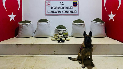 PKK'nın uyuşturucu organizasyonuna jandarma darbesi!