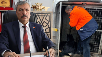 Kaş yapayım derken göz çıkardı! Mahallelinin isteği başına iş açtı