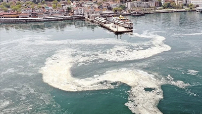 Marmara'da müsilaj tehlikesi! Sıcaklıkların artması olumsuz etkiliyor