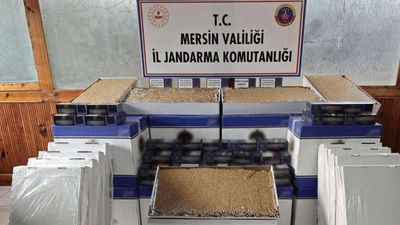Kaçakçılara geçit yok! Jandarma yüz binlercesini ele geçirdi