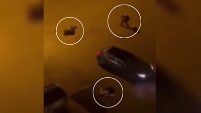 Birlikte yaşadığı kadını da yanındaki erkeği de öldürdü