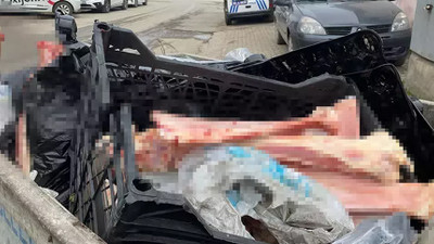 Çöp konteynerinde at eti ve kemikleri bulundu! Bölgede denetim başlatıldı