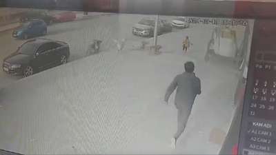 Erzincan'da ilkokul öğrencisine köpek saldırısı kamerada