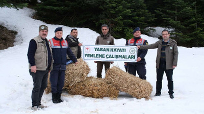 Jandarma ekiplerinden içleri ısıtan çalışma! 3 Mart'ta yaban hayvanları unutulmadı
