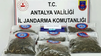 Jandarmadan 11 ilde dev operasyon! Tonlarca uyuşturucu madde ele geçirildi