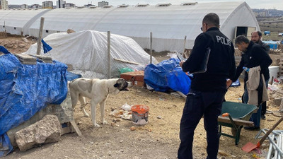 Kayseri'de köpek dehşeti! 7 yaşındaki çocuk ağır yaralandı