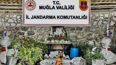 Şok uyuşturucu baskını! Jandarma, 'Azot' sayesinde eliyle koymuş gibi buldu