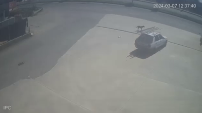 Şanlıurfa'da asfalt tankeri otomobili biçti: 1 ölü, 2 yaralı